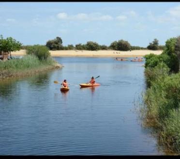 Mobilhome 6-8 Personnes Camping Les Viviers 4 Etoiles Cap Ferret Lège-Cap-Ferret 외부 사진
